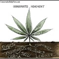 Grassroots Movement- Antonio F. Branco