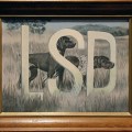 Dog Hit By Car After Given LSD – Snellville Georgia