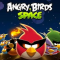 Angry Birds…Pigs in Space!-Larry Blumen