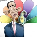 NBC-Parrot – Antonio F. Branco