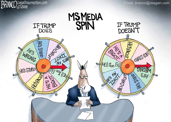 Media Spin